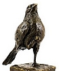 kleiner Vogel.jpg